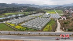 湖南东安智能集中育秧 保障3.5万亩早稻生产