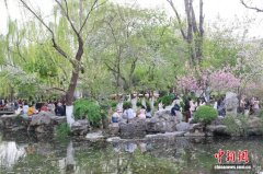 山东济南：泉畔花开醉游人